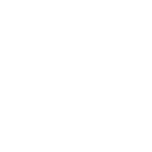 لوگو شرکت نیلگام سفر